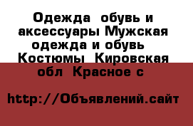 Одежда, обувь и аксессуары Мужская одежда и обувь - Костюмы. Кировская обл.,Красное с.